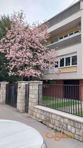 Kuca-poslovni prostor u centru grada